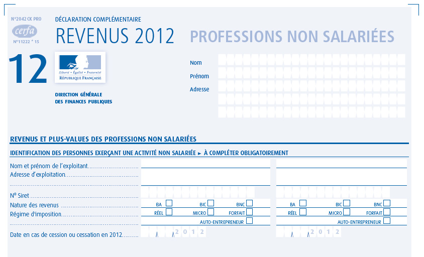 comment remplir le cerfa 2042 c pro